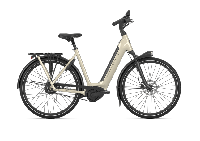 Gazelle Arroyo