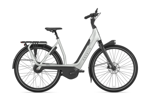 Gazelle Avignon